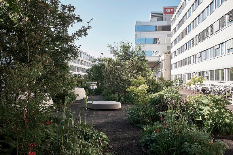 Mediengarten, SRF Campus, Zürich