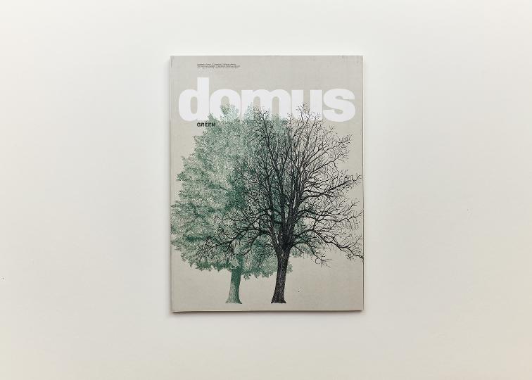 Domus